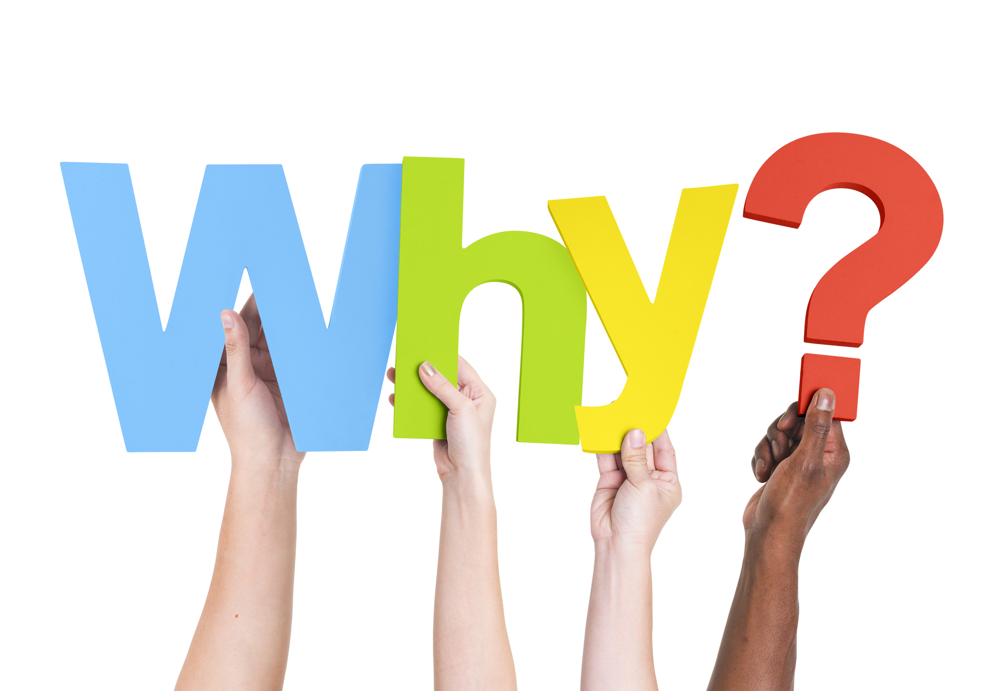 Что означает why. Why картинка. Why рисунок. Почему картинка. Надпись why.